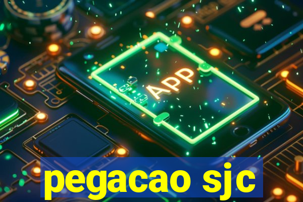 pegacao sjc